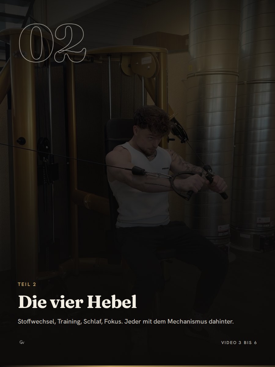 Teil 2: Die 4 Hebel